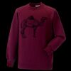 Kids raglan sleeve sweatshirt Thumbnail