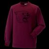 Kids raglan sleeve sweatshirt Thumbnail