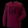 Kids raglan sleeve sweatshirt Thumbnail