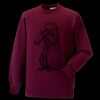 Kids raglan sleeve sweatshirt Thumbnail
