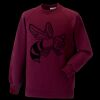 Kids raglan sleeve sweatshirt Thumbnail