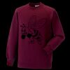 Kids raglan sleeve sweatshirt Thumbnail