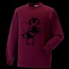 Kids raglan sleeve sweatshirt Thumbnail