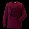 Kids raglan sleeve sweatshirt Thumbnail