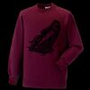 Kids raglan sleeve sweatshirt Thumbnail