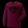 Kids raglan sleeve sweatshirt Thumbnail