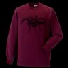 Kids raglan sleeve sweatshirt Thumbnail