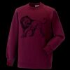 Kids raglan sleeve sweatshirt Thumbnail