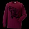 Kids raglan sleeve sweatshirt Thumbnail