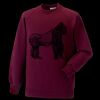 Kids raglan sleeve sweatshirt Thumbnail