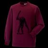 Kids raglan sleeve sweatshirt Thumbnail