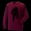 Kids raglan sleeve sweatshirt Thumbnail