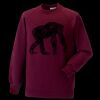 Kids raglan sleeve sweatshirt Thumbnail