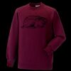Kids raglan sleeve sweatshirt Thumbnail