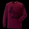 Kids raglan sleeve sweatshirt Thumbnail