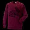 Kids raglan sleeve sweatshirt Thumbnail