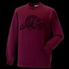 Kids raglan sleeve sweatshirt Thumbnail