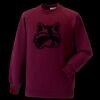 Kids raglan sleeve sweatshirt Thumbnail