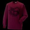 Kids raglan sleeve sweatshirt Thumbnail