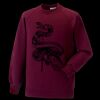 Kids raglan sleeve sweatshirt Thumbnail