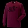 Kids raglan sleeve sweatshirt Thumbnail