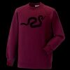 Kids raglan sleeve sweatshirt Thumbnail