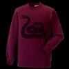 Kids raglan sleeve sweatshirt Thumbnail