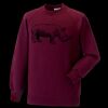 Kids raglan sleeve sweatshirt Thumbnail