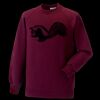 Kids raglan sleeve sweatshirt Thumbnail