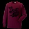 Kids raglan sleeve sweatshirt Thumbnail