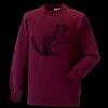 Kids raglan sleeve sweatshirt Thumbnail