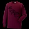 Kids raglan sleeve sweatshirt Thumbnail