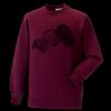 Kids raglan sleeve sweatshirt Thumbnail