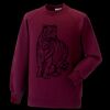 Kids raglan sleeve sweatshirt Thumbnail