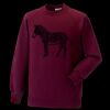 Kids raglan sleeve sweatshirt Thumbnail
