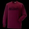Kids raglan sleeve sweatshirt Thumbnail
