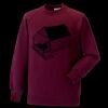 Kids raglan sleeve sweatshirt Thumbnail