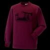 Kids raglan sleeve sweatshirt Thumbnail