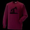 Kids raglan sleeve sweatshirt Thumbnail