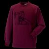 Kids raglan sleeve sweatshirt Thumbnail