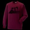 Kids raglan sleeve sweatshirt Thumbnail