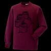 Kids raglan sleeve sweatshirt Thumbnail