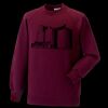 Kids raglan sleeve sweatshirt Thumbnail
