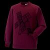 Kids raglan sleeve sweatshirt Thumbnail