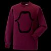 Kids raglan sleeve sweatshirt Thumbnail