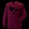 Kids raglan sleeve sweatshirt Thumbnail