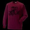 Kids raglan sleeve sweatshirt Thumbnail