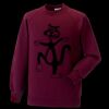 Kids raglan sleeve sweatshirt Thumbnail