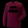 Kids raglan sleeve sweatshirt Thumbnail
