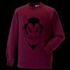 Kids raglan sleeve sweatshirt Thumbnail